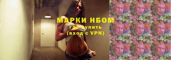 стаф Елизово