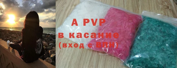 стаф Елизово
