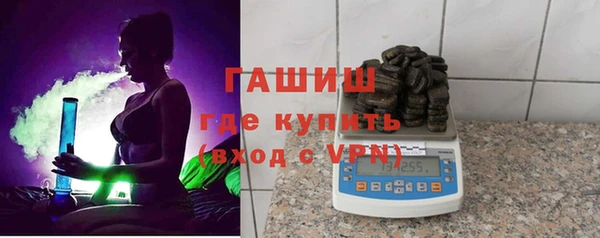 стаф Елизово