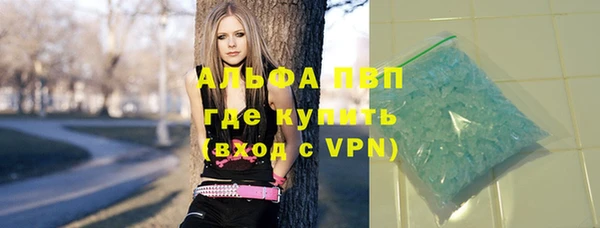 стаф Елизово