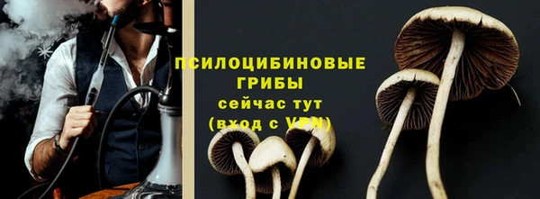 стаф Елизово