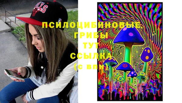 стаф Елизово